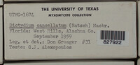 Image Associated With the Occurence